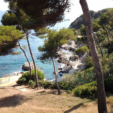 Apartament Apartamento Sol- Fanals Lloret de Mar Zewnętrze zdjęcie
